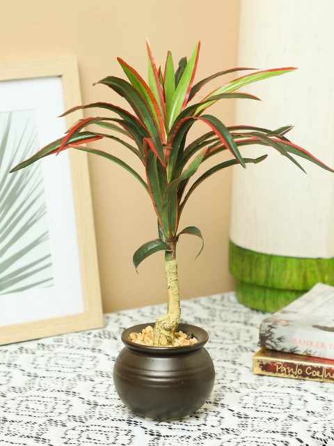

PolliNation Red Green Artificial Yucca Bonsai With Pot