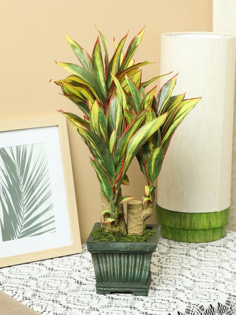 

PolliNation Yellow Green Artificial Dracaena Bonsai With Pot