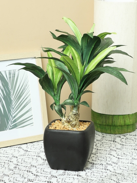 

PolliNation Green Artificial Dracaena Bonsai With Ceramic Pot