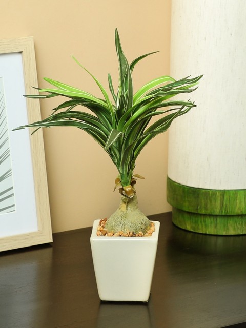 

PolliNation Green Artificial Bottle Yucca Bonsai With Pot
