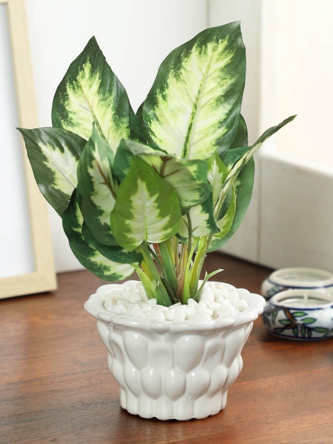 

PolliNation White Green Artificial Dieffenbachia Bonsai With Ceramic Pot