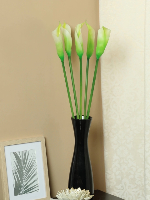

PolliNation Set of 5 White Green Artificial Callalily Flower Stems