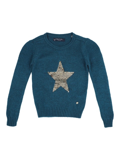 

Allen Solly Junior Girls Blue Self Design Sweater