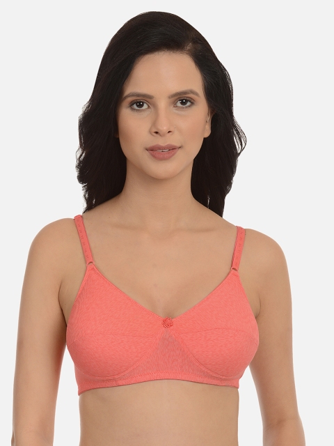 

mod & shy Pink Solid Non-Wired Lightly Padded Everyday Bra MS78
