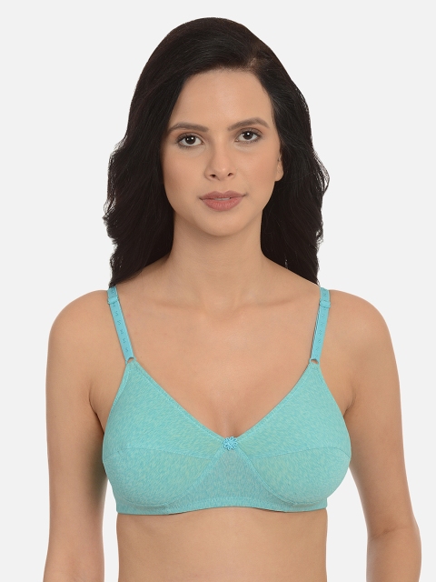 

mod & shy Blue Solid Non-Wired Lightly Padded Everyday Bra MS77