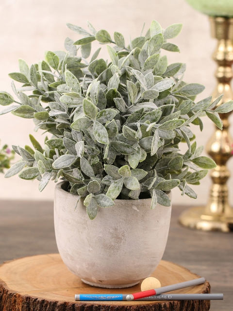 

Pure Home and Living Green Artificial Frosted Tea Leaf Plant With Pot