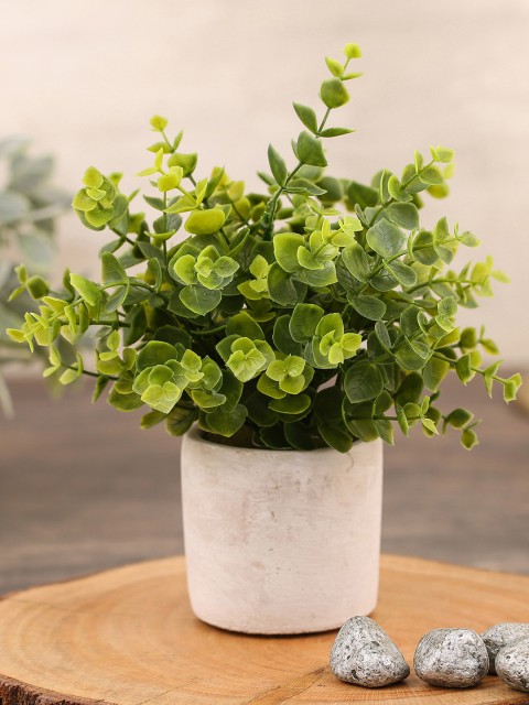

Pure Home and Living Green Artificial Flower Plant With Pot