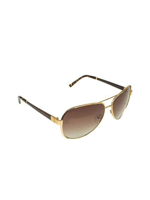 Hidesign Men Polarised Aviator Sunglasses 8903439701079, Brown