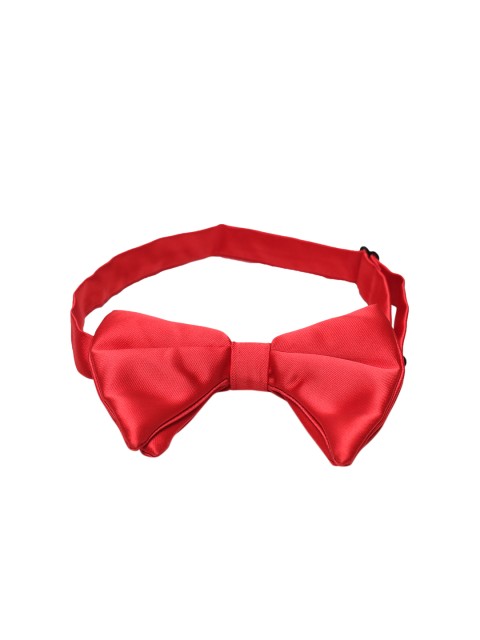 

Alvaro Castagnino Red Solid Bow Tie