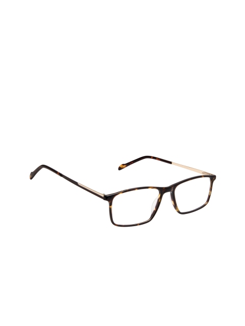 

David Blake Unisex Brown Tortoise Shell Full Rim Rectangle Frames EWDB1937