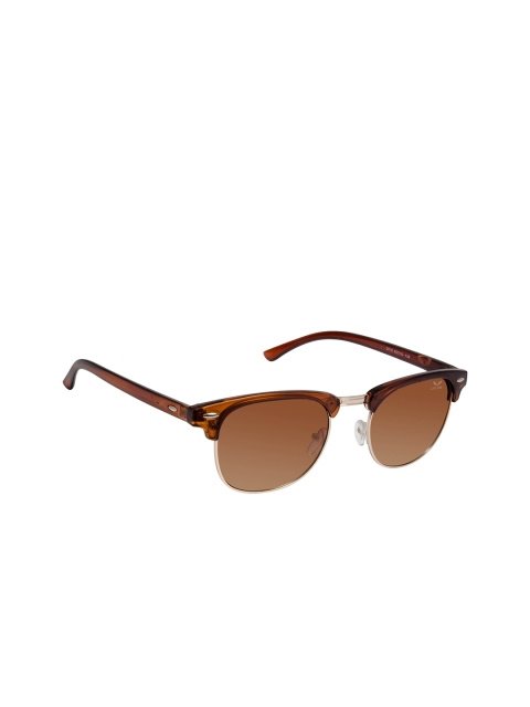 Cardon Unisex Browline Sunglasses NSGCD402, Brown