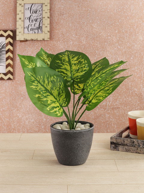 

FOLIYAJ Green Artificial Money Plant With Pot