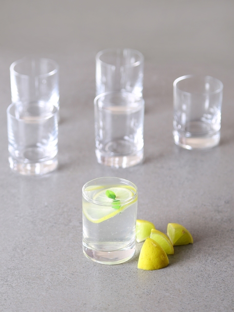 

Bohemia Crystal Set of 6 Transparent Solid Barline Shot Glasses
