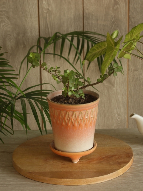 

The Wishing Chair Orange Asher Embossed Large Planter