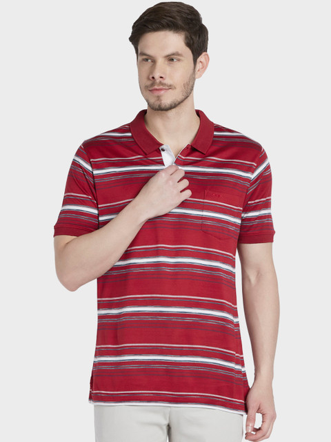 

ColorPlus Men Maroon & White Striped Polo Collar T-shirt