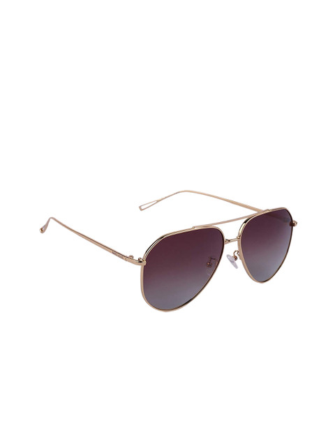 

MARC LOUIS Unisex Aviator Sunglasses ML0193S C2, Brown