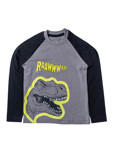 

Kid Studio Boys Grey Printed Round Neck T-shirt