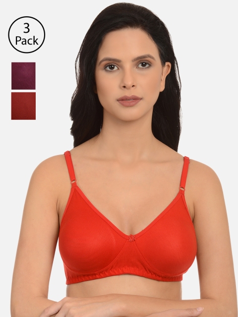 

mod & shy Pack of 3 Assorted Solid Non-Wired Non Padded Everyday Bras, Red