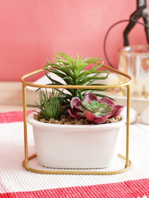 

PolliNation Red Green Artificial Succulent Plant With Metal Stand Ceramic Pot