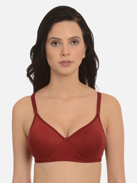 

mod & shy Maroon Solid Non-Wired Lightly Padded T-shirt Bra MS104R