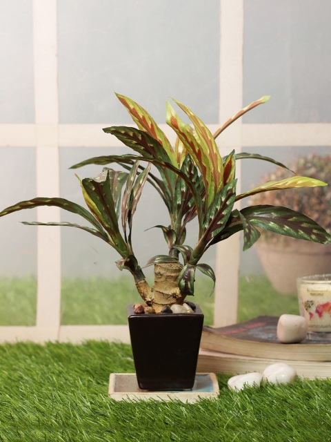 

PolliNation Brown Artificial Dracaena Bonsai With Black Ceramic Pot