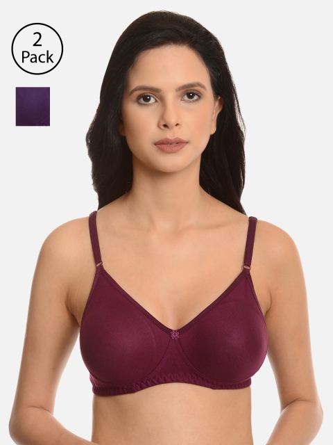 

mod & shy Pack of 2 Solid Non-Wired Non Padded Everyday Bras MS8487, Purple