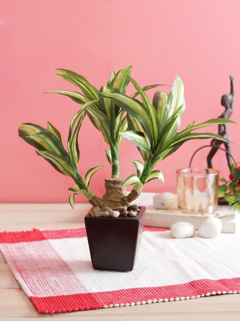 

PolliNation White Artificial Dracaena Bonsai With Brown Ceramic Pot, Green