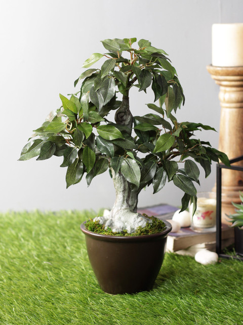 

PolliNation Green Artificial Ficus Plant with Brown Pot