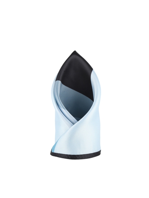 

Alvaro Castagnino Men Blue & Black Colourblocked Pocket Square