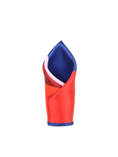 

Alvaro Castagnino Men Red & Blue Colourblocked Pocket Square