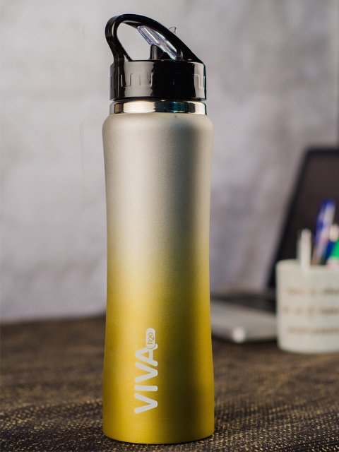 

VIVA h2o Grey & Gold-Toned Colourblocked Stainless Steel Water Bottle 750 ml