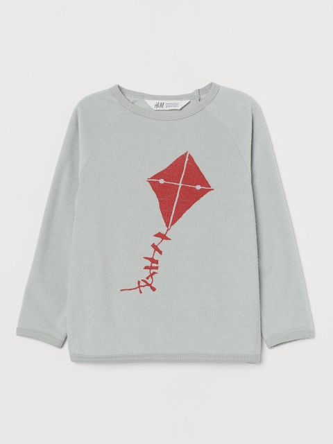 

H&M Boys Blue Printed Terry top