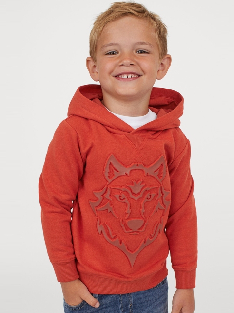 

H&M Boys Orange Printed Cotton-Blend Hoodie