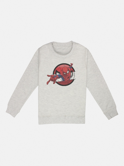 

Kids Ville Boys Grey Printed Sweatshirt