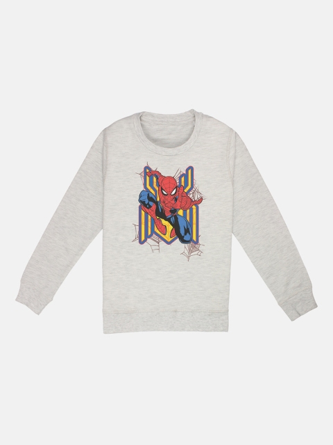 

Kids Ville Boys Grey & Red Spiderman Printed Sweatshirt