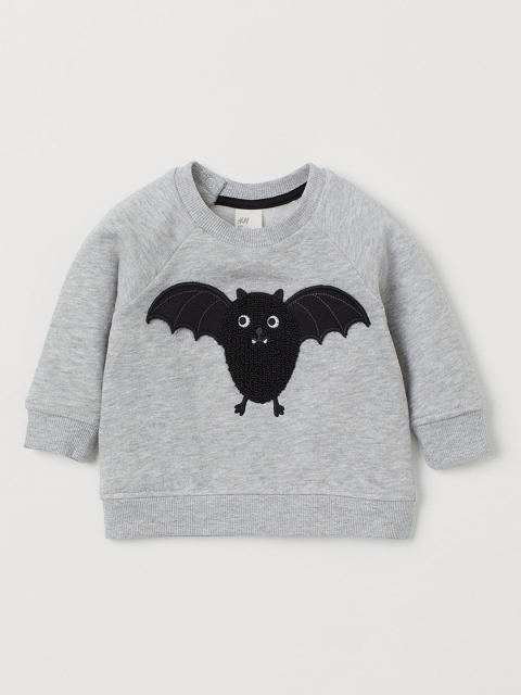 

H&M Boys Grey Sweatshirt With A Motif