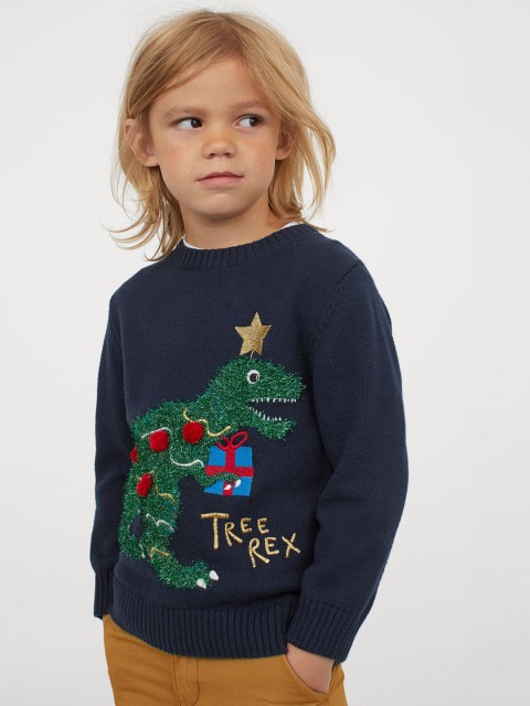 

H&M Boys Navy Blue Appliqued Jumper