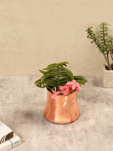 

Unravel India Copper Lacquer Coated Rosa Vase