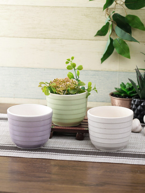 

Aapno Rajasthan Set Of 3 Ceramic Planters, White