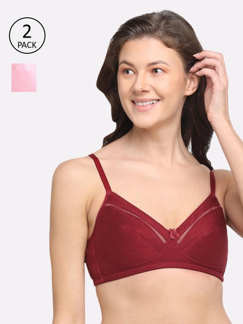 

DIXCY SCOTT Slimz Maroon & Pink Pack of 2 Non-Wired Non Padded Everyday Bra K1-PR8851BR