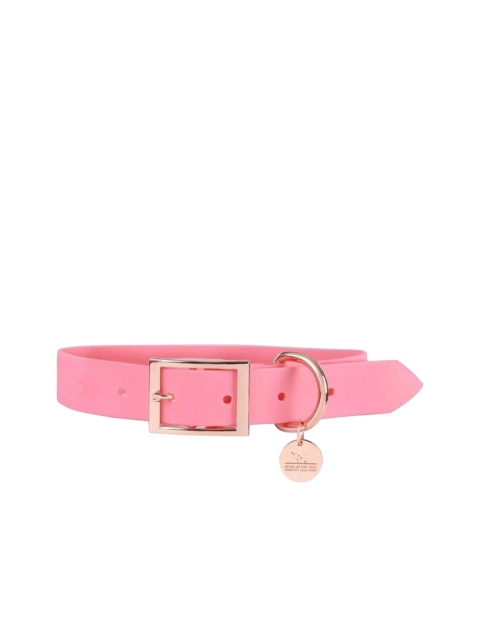 

Heads Up For Tails Pink Solid Rain Friendly Dog Leash