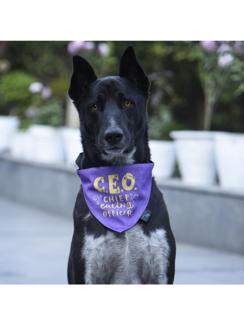 

Heads Up For Tails by Alicia Souza Levender Chief Eating Officer Print Dog Bandana, Lavender