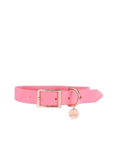 

Heads Up For Tails Pink Self Striped Dog Leash