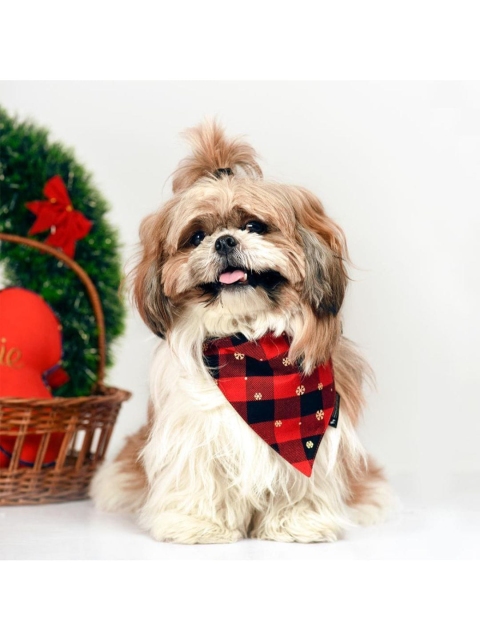 

Heads Up For Tails Red & Black Checked Dog Bandana Scarf