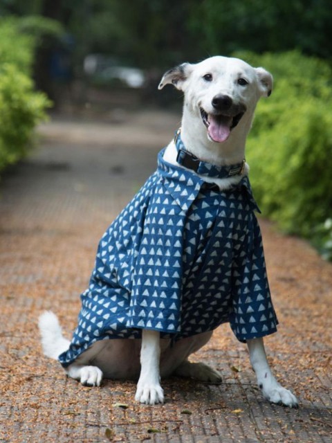 

Heads Up For Tails Navy Blue & White Triangle Print Dog Shirt