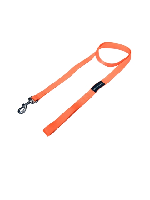 

Heads Up For Tails Orange Self Design Essentials Dog Leash