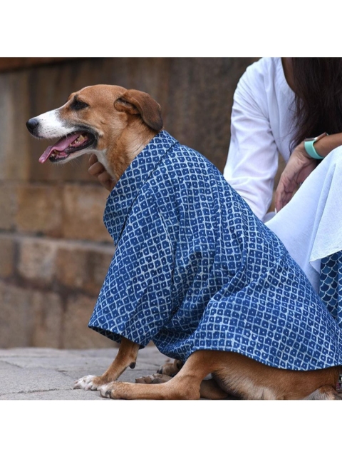 

Heads Up For Tails Blue & White Diamond Print Dog Shirt