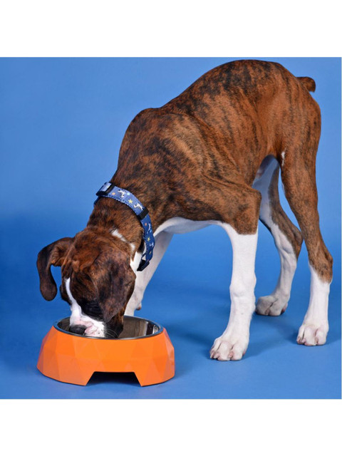 

Heads Up For Tails Orange Diamond Pet Bowl