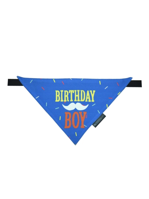 

Heads Up For Tails Blue Birthday Boy Print Dog Bandana