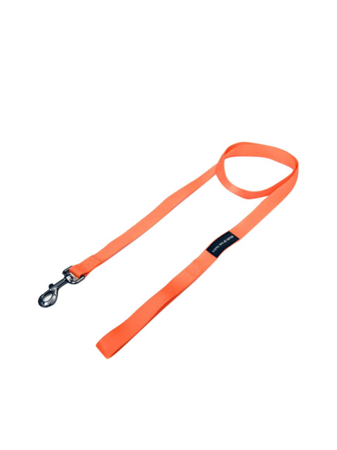 

Heads Up For Tails Orange Essentials Nylon Dog Leash
